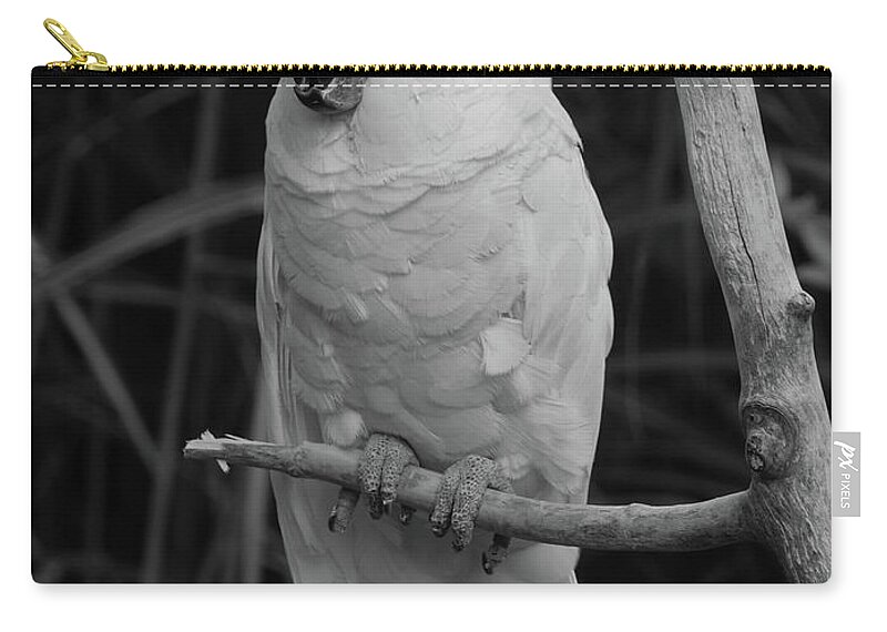 Bird Zip Pouch featuring the photograph Big Bird by Richard Bryce and Family