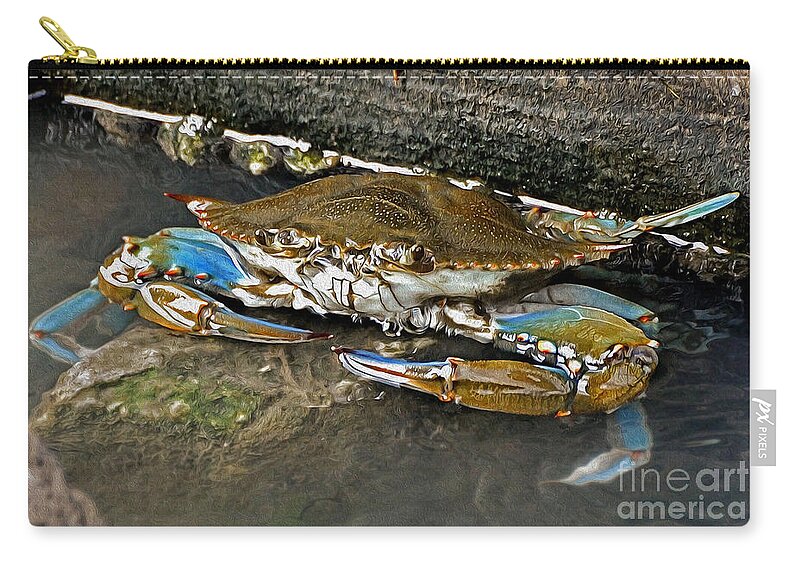 Crab Carry-all Pouch featuring the photograph Big Blue by Kathy Baccari