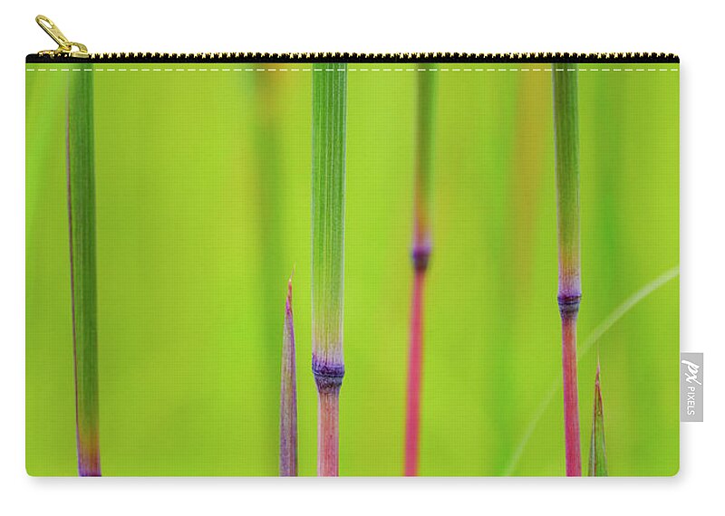Andropogon Gerardii Zip Pouch featuring the photograph Big Blue by Todd Bannor