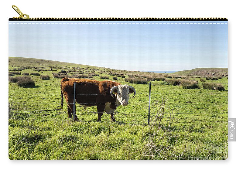 Wingsdomain Zip Pouch featuring the photograph Big Bull At Point Reyes National Seashore California DSC4884 by Wingsdomain Art and Photography