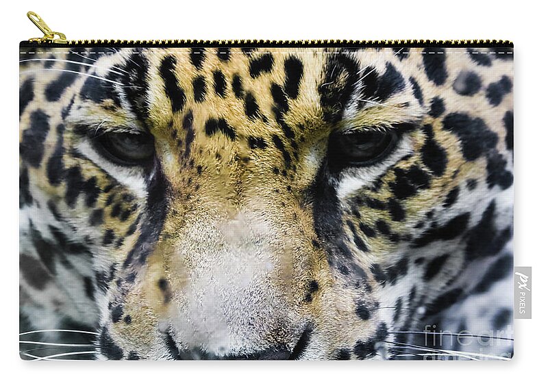 Jaguar Zip Pouch featuring the photograph Big Cat by Suzanne Luft