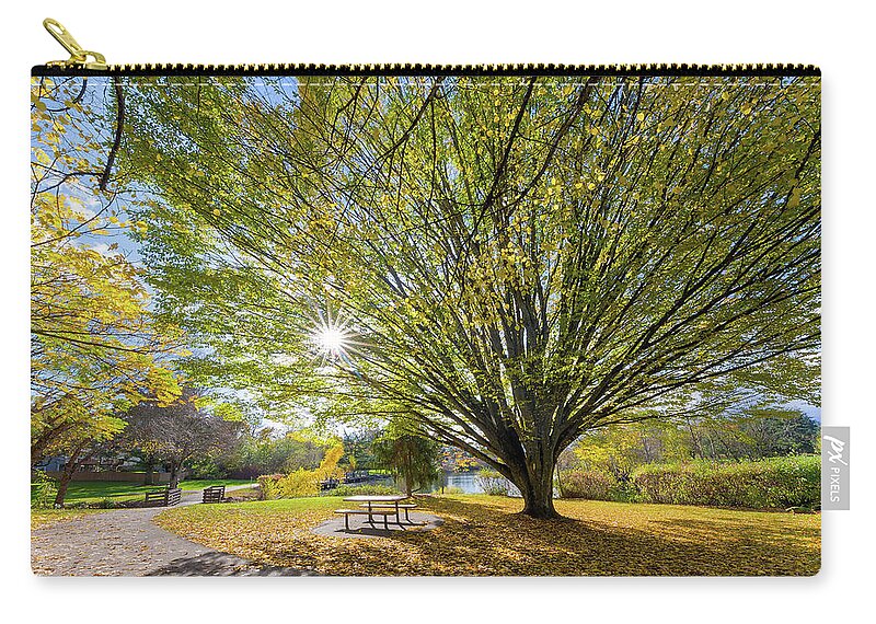 Tree Zip Pouch featuring the photograph Big Old Tree at Commonwealth Lake Park in Beaverton by David Gn