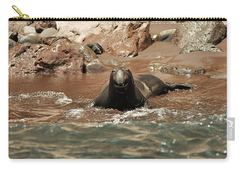 Seals Zip Pouch featuring the photograph Big Smile by David Shuler