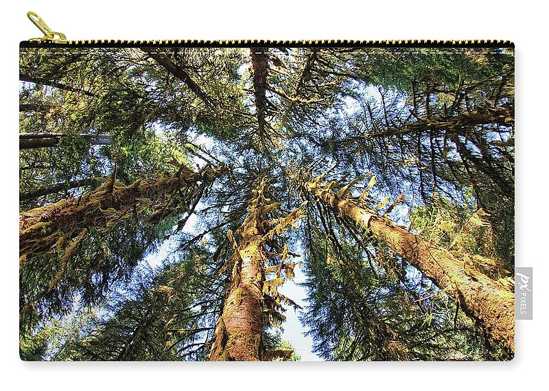 Trunk Zip Pouch featuring the photograph Big Trees in Olympic National Park by Kyle Lee