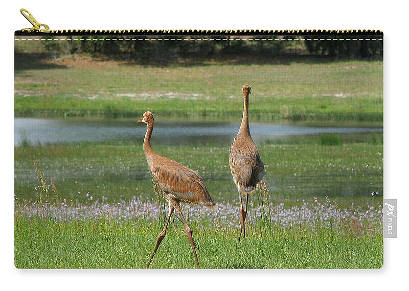 Sandhill Zip Pouch featuring the photograph Big World by Peggy Urban