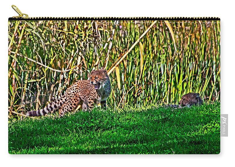 #cheetah Zip Pouch featuring the photograph Big yawn by little cub by Miroslava Jurcik