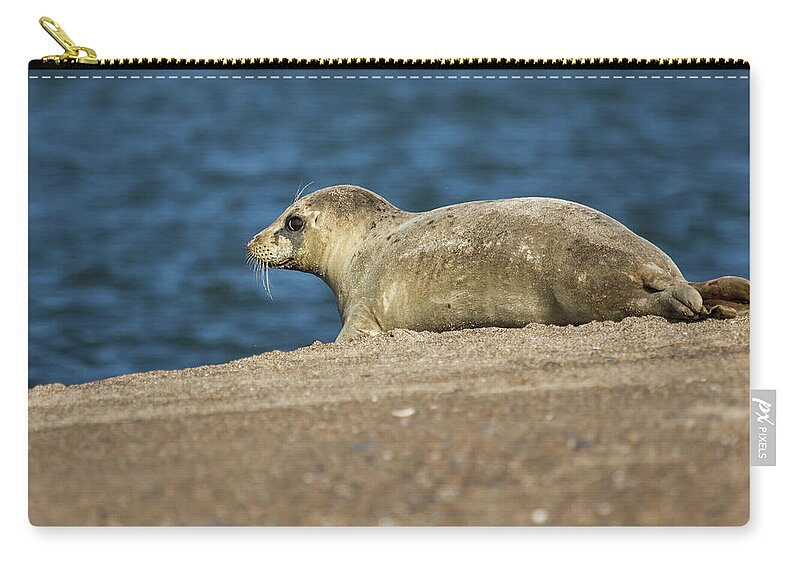 Wildlife Zip Pouch featuring the photograph Big Eyed Baby by Kristina Rinell