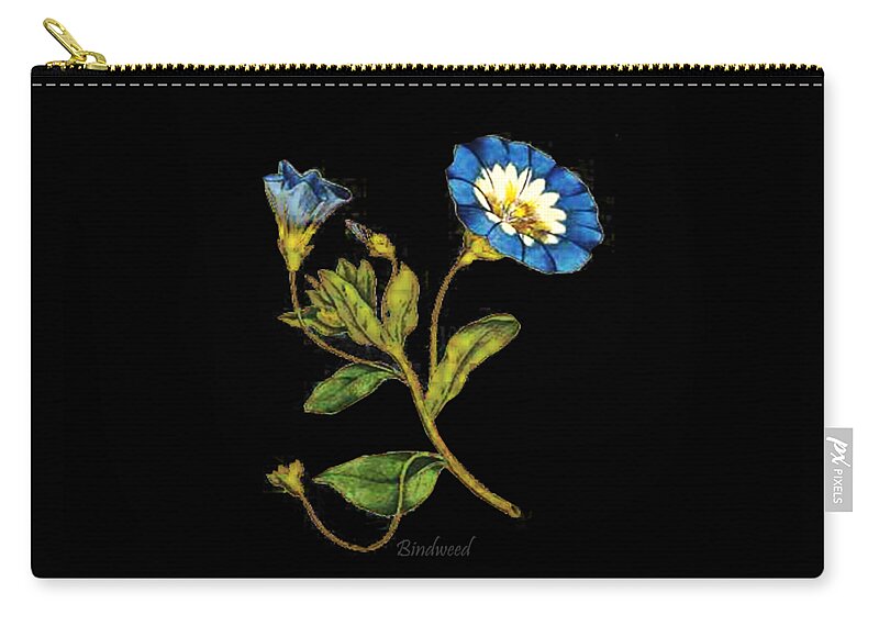 Convolvulus Tricolor Zip Pouch featuring the digital art Bindweed by Asok Mukhopadhyay
