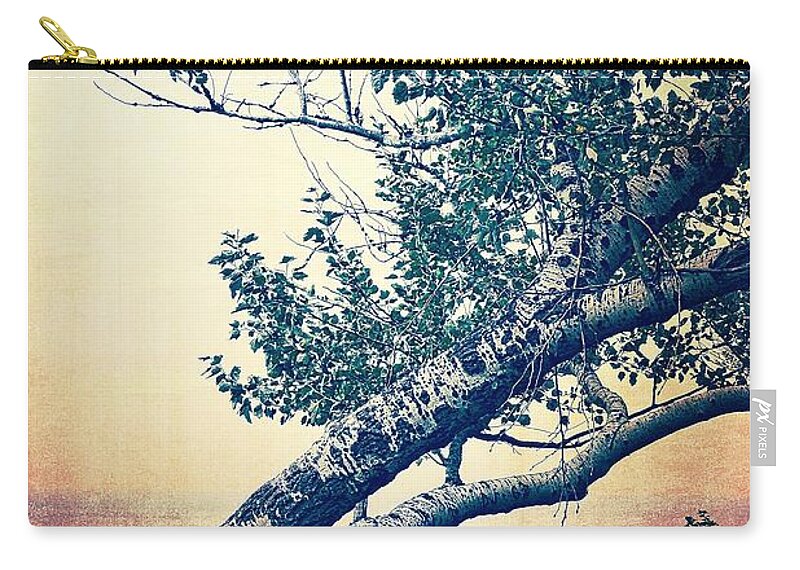 Sunset Zip Pouch featuring the photograph Birch at the Overlook 2.0 by Michelle Calkins