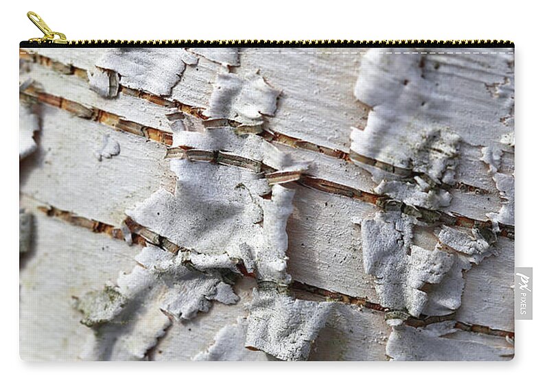 Birch Zip Pouch featuring the photograph Birch Beauty 2 by Mary Bedy