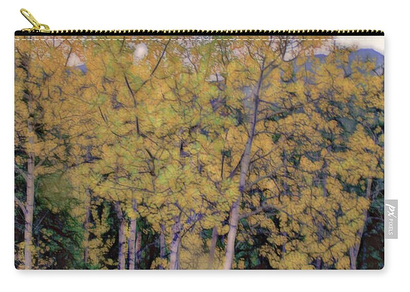 Birch Zip Pouch featuring the photograph Birch Trees #2 by Patricia Dennis