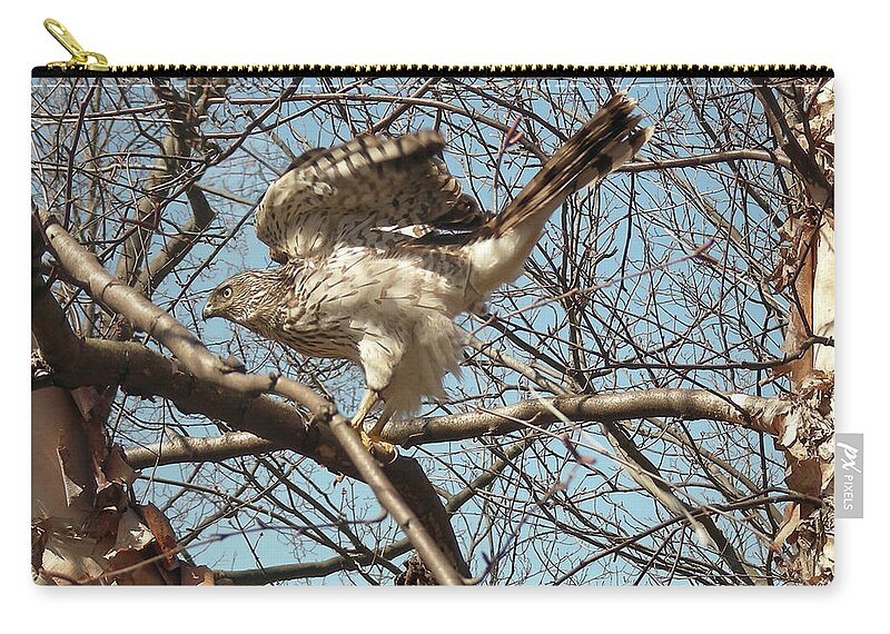 Faunagraphs Zip Pouch featuring the digital art Birched Cooper 1 by Torie Tiffany