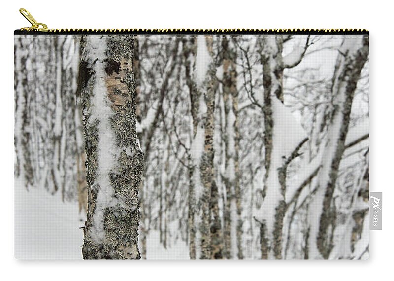 Norway Zip Pouch featuring the photograph Birches in Snow by Alex Lapidus