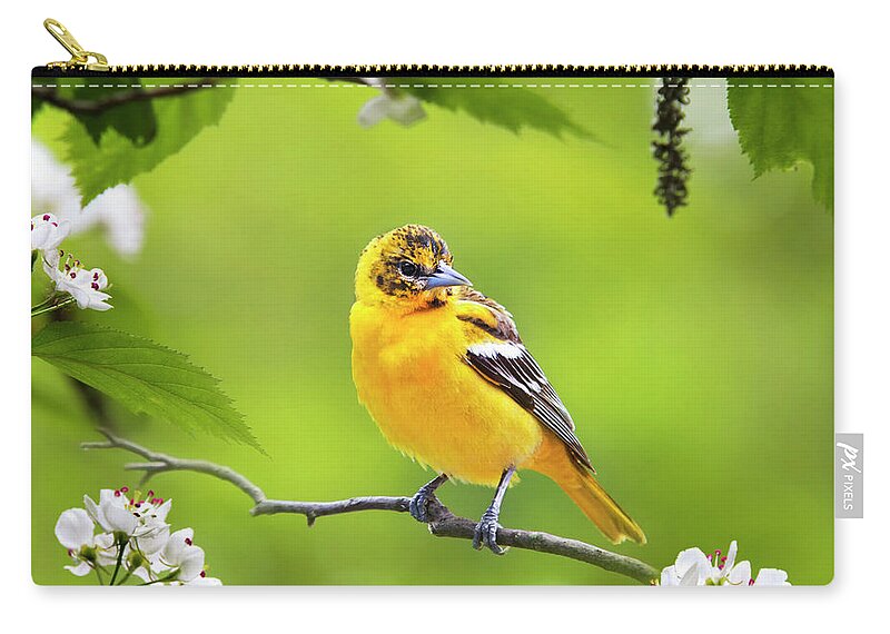 Bird Zip Pouch featuring the photograph Bird and Blooms - Baltimore Oriole by Christina Rollo