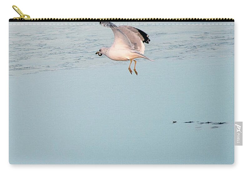 Bird Zip Pouch featuring the photograph Bird Caught Fish by Catherine Lau