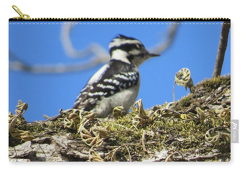Nature Zip Pouch featuring the photograph Bird chills by Aaron Martens