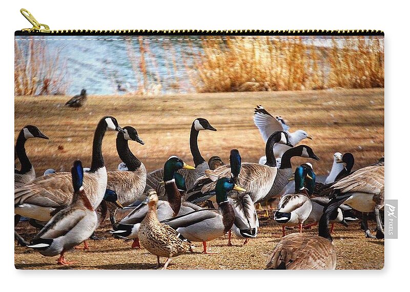 Canadian Geese Zip Pouch featuring the photograph Bird Gang Wars by Sumoflam Photography
