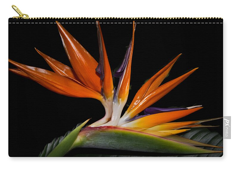 Bird Zip Pouch featuring the photograph Bird in Paradise by Debra and Dave Vanderlaan