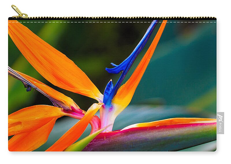 Floral Carry-all Pouch featuring the photograph Bird of Paradise by Jade Moon