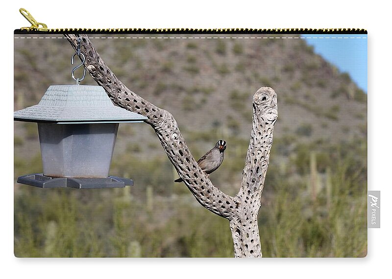 Bird Zip Pouch featuring the photograph Sparrow with Feeder by Christy Pooschke