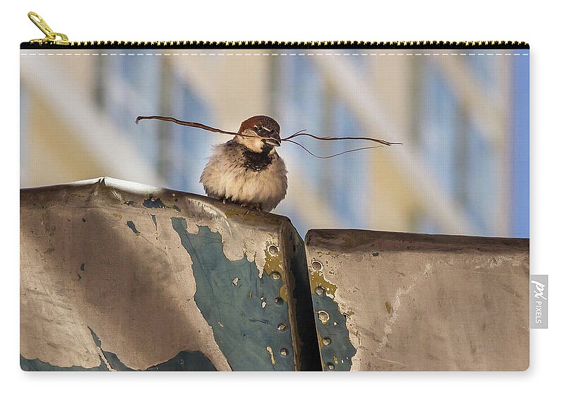 Beak Zip Pouch featuring the photograph Bird with Twig by Roslyn Wilkins