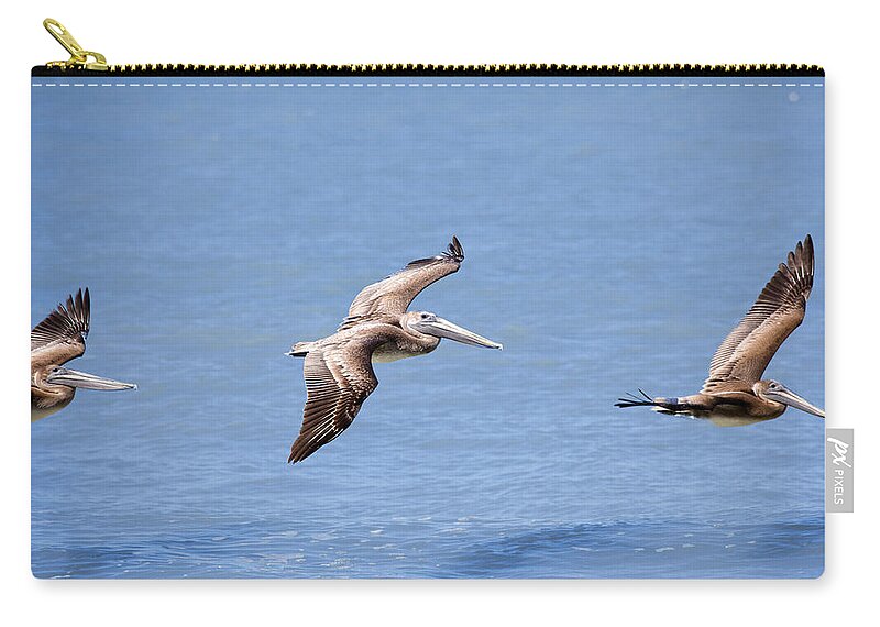Birds Carry-all Pouch featuring the photograph Birds 1039 by Michael Fryd