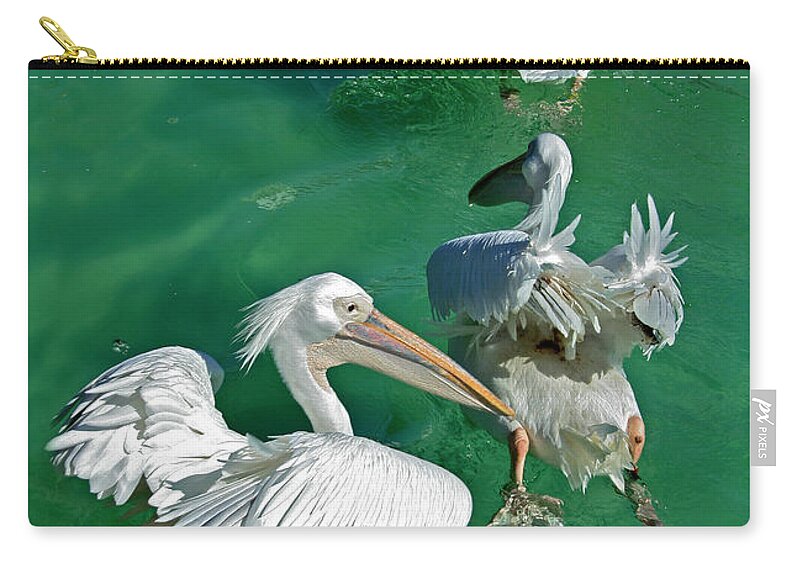 Bird Zip Pouch featuring the photograph Birds on Parade by Gaile Griffin Peers