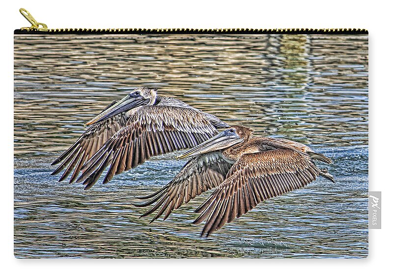 Brown Pelican Zip Pouch featuring the photograph Birds - Brown Pelican - Tandem Flight by HH Photography of Florida