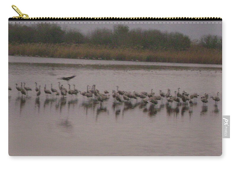 Birds Zip Pouch featuring the photograph Birds9 by Moshe Harboun