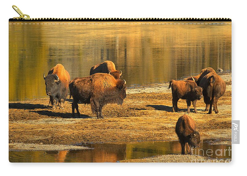 Bison Zip Pouch featuring the photograph Bison Family Crossing by Adam Jewell