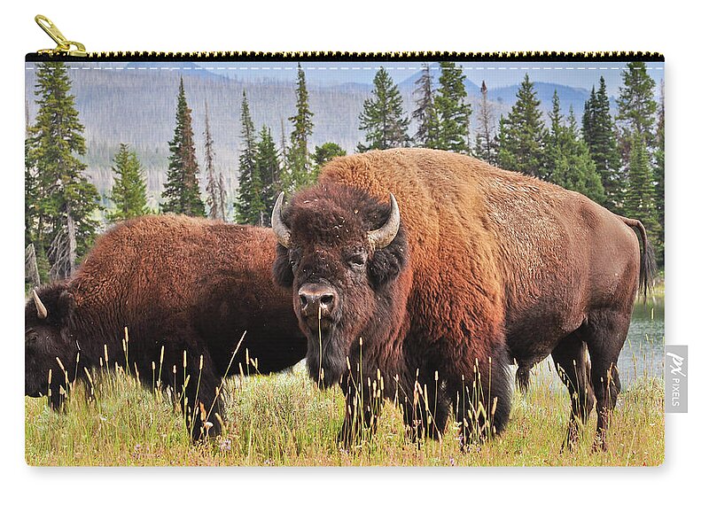 Bison Zip Pouch featuring the photograph Bison by Greg Norrell
