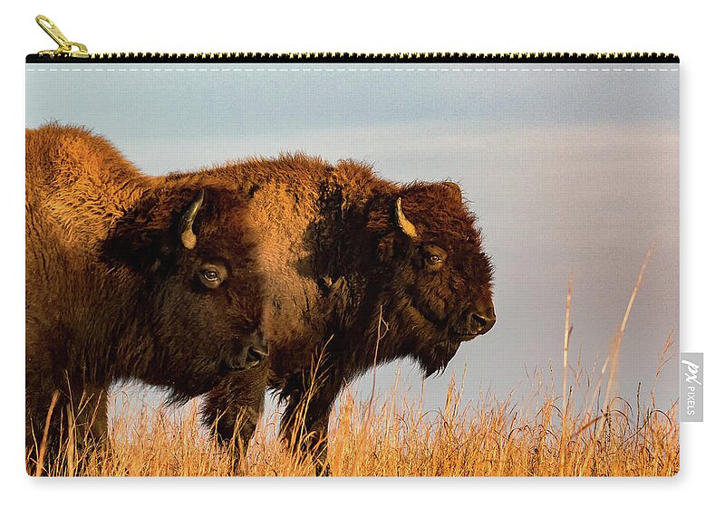 Jay Stockhaus Zip Pouch featuring the photograph Bison Pair by Jay Stockhaus