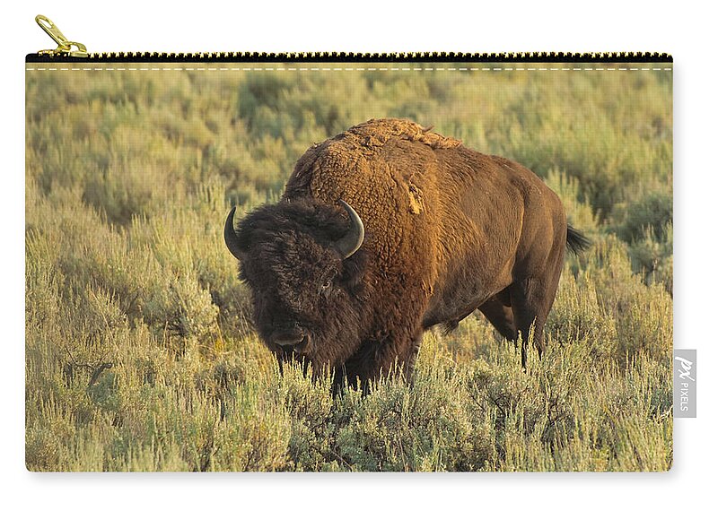 American Bison Carry-all Pouch featuring the photograph Bison by Sebastian Musial