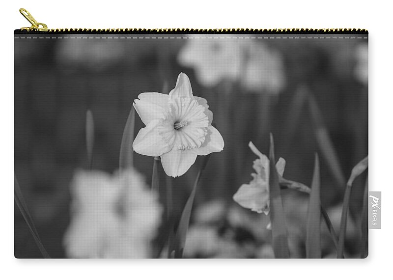 Black & White Zip Pouch featuring the photograph Black and White 1 by Jimmy McDonald