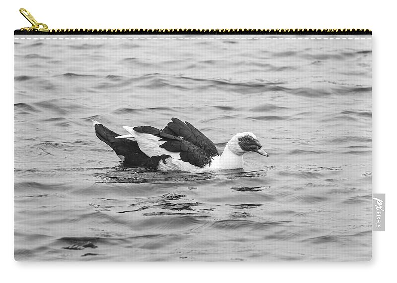 Black And White Zip Pouch featuring the photograph Black and White 12 by Jimmy McDonald