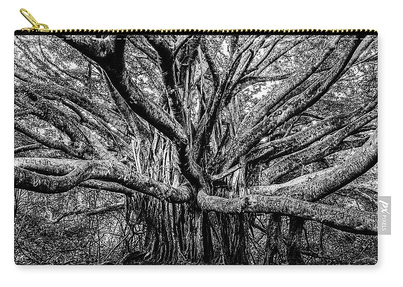 Banyan Zip Pouch featuring the photograph Black and White Banyan by Kelley King