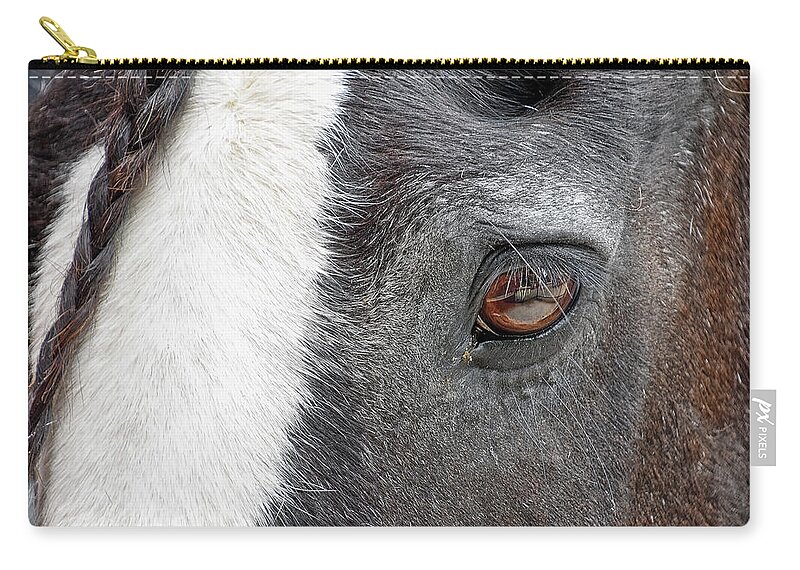  Zip Pouch featuring the photograph Black and White Beauty by Kuni Photography