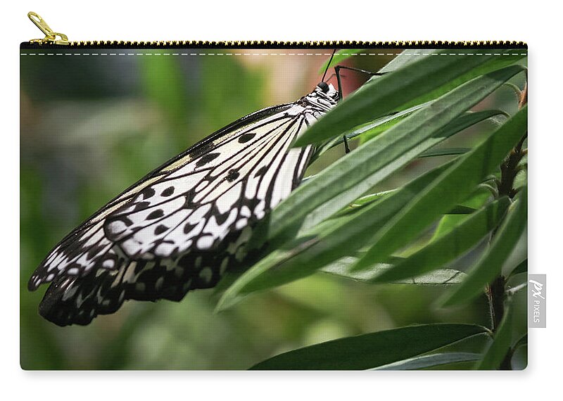 Idea Leuconoe Zip Pouch featuring the photograph Black and White Butterfly - by Julie Weber