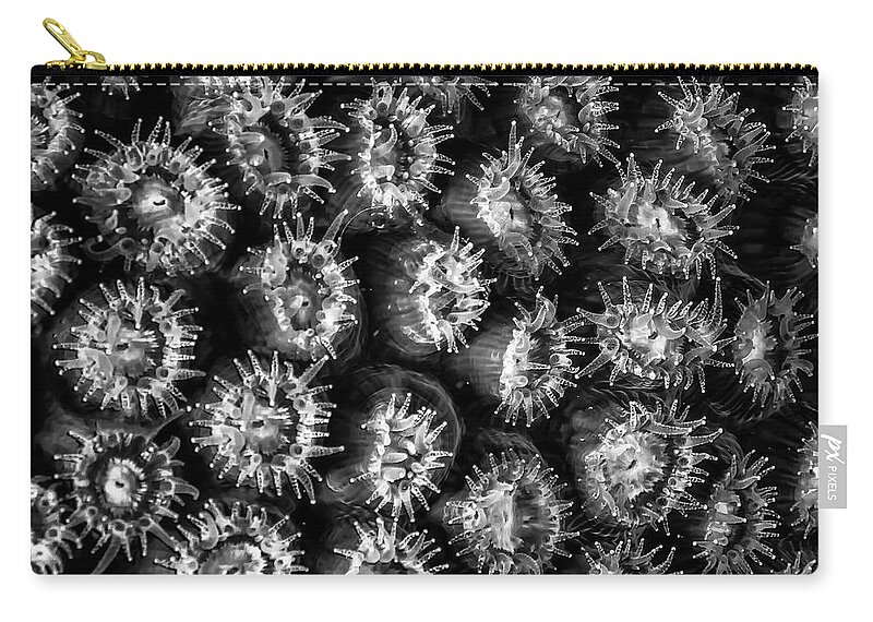 Jean Noren Zip Pouch featuring the photograph Black and White Feeding Coral by Jean Noren