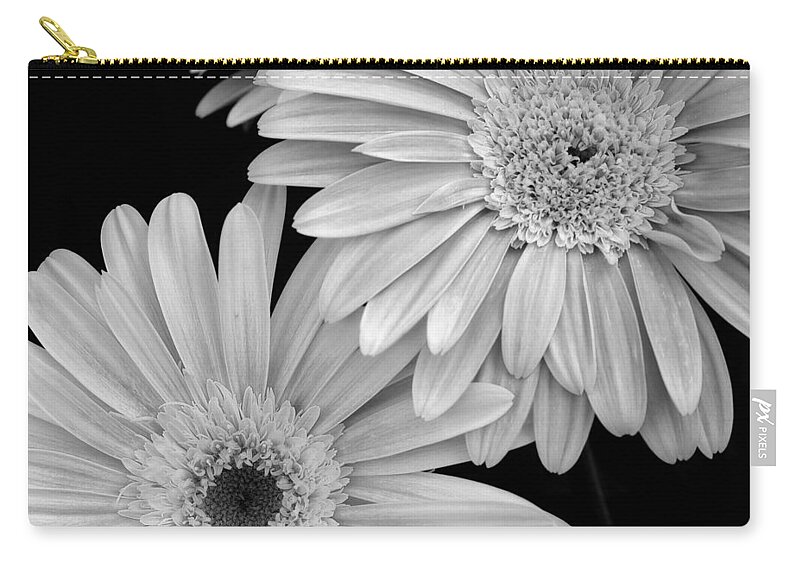 Flower Carry-all Pouch featuring the photograph Black and White Gerbera Daisies 1 by Amy Fose
