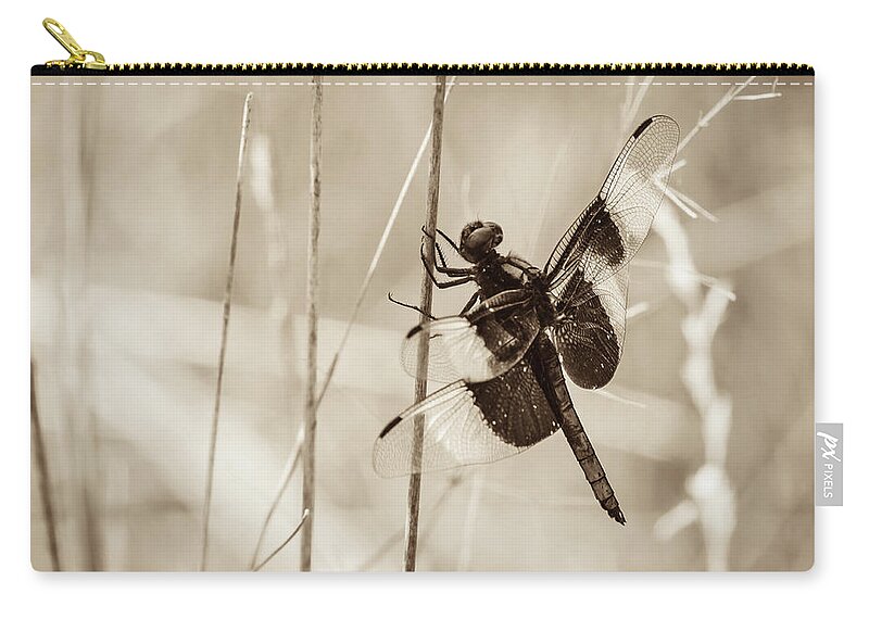 Casper Bluff Land And Water Preserve Zip Pouch featuring the photograph Black and White of Widow Skimmer Dragonfly by Joni Eskridge