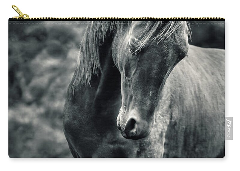 Horse Carry-all Pouch featuring the photograph Black and white portrait of horse by Dimitar Hristov