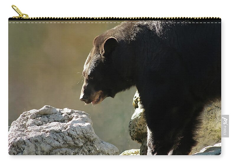 Bear Zip Pouch featuring the photograph Black Bear On The Rocks by TnBackroadsPhotos