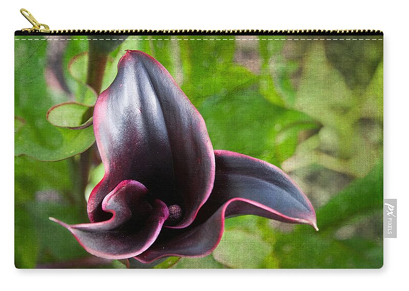 Black Calla Lily Zip Pouch featuring the photograph Black Beauty by Terri Harper