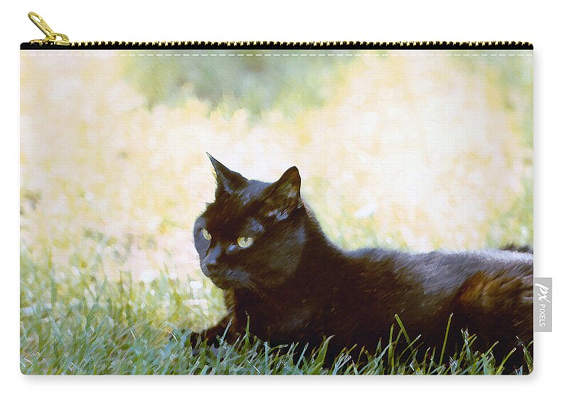 Black Cat Zip Pouch featuring the photograph Black Cat in the Sun by Geoff Jewett