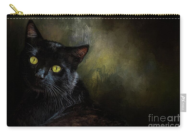 Black Cat Zip Pouch featuring the photograph Black Cat Portrait by Eleanor Abramson
