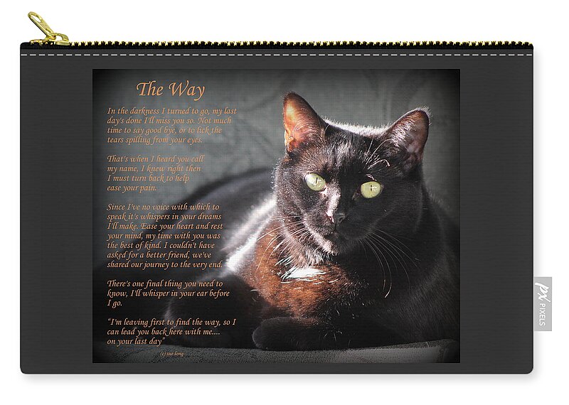 Black Cats Zip Pouch featuring the photograph Black Cat The Way by Sue Long