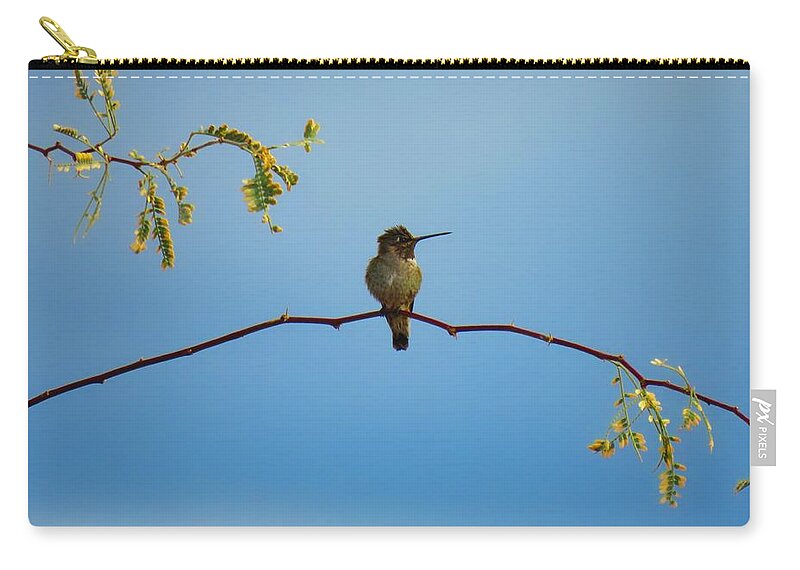 Hummingbird Zip Pouch featuring the photograph Black-Chinned Hummingbird on Mesquite by Judy Kennedy