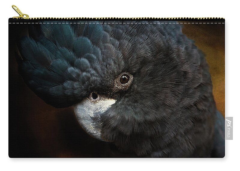 Black Cockatoo Zip Pouch featuring the photograph Black Cockatoo by Diana Andersen