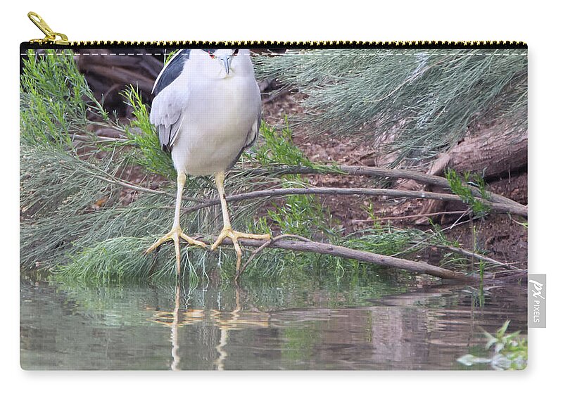 Black Zip Pouch featuring the photograph Black-crowned Night Heron Adult 7431-021418-2cr by Tam Ryan